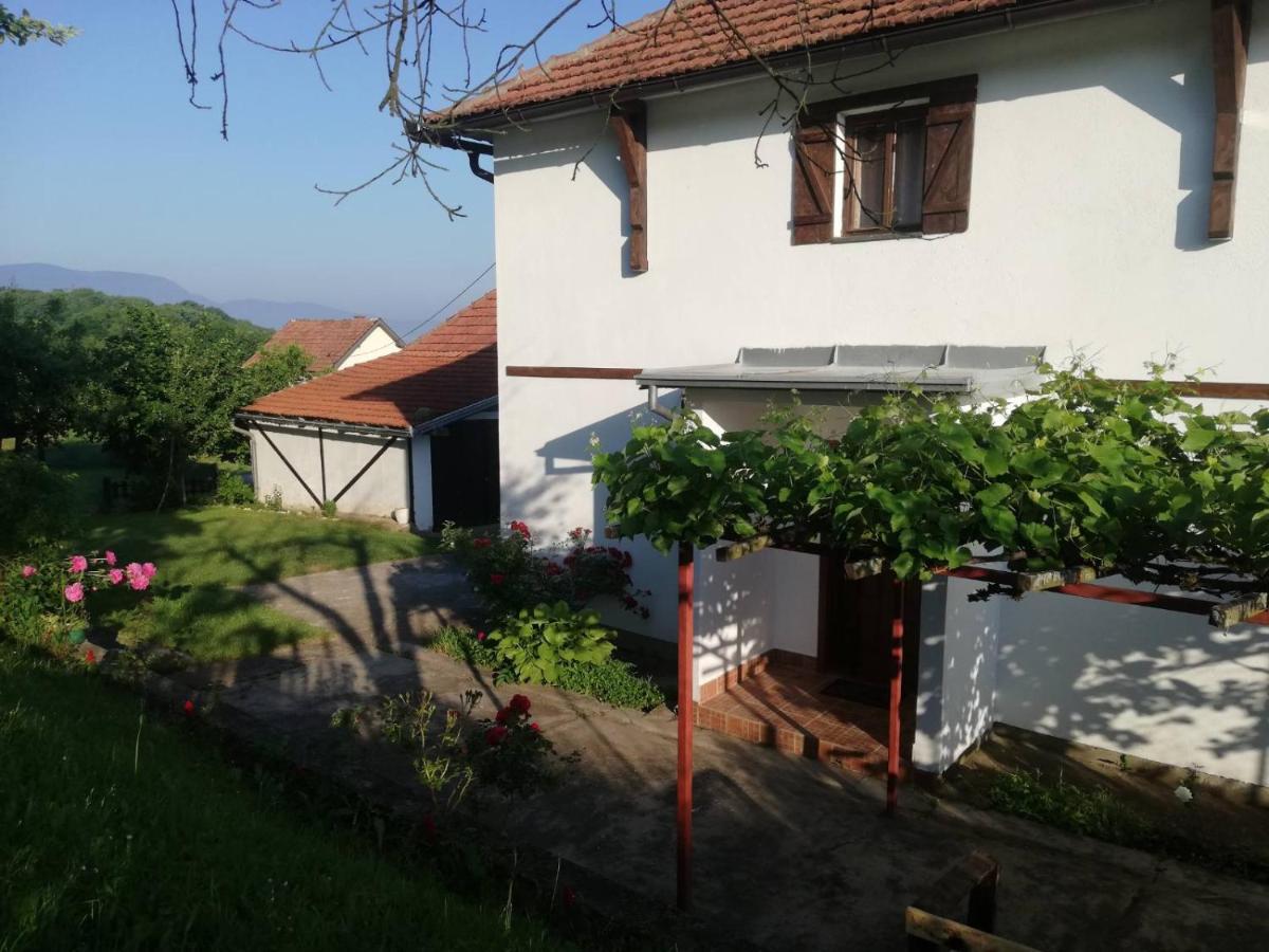 Vikendica I Vajat Vrbica Villa Kalesija Ngoại thất bức ảnh